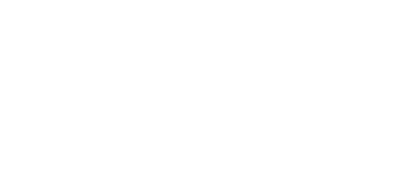 FSS Group Logo Light